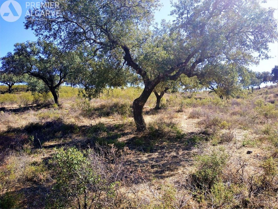 Farm hus i Mertola, Beja - foto 4