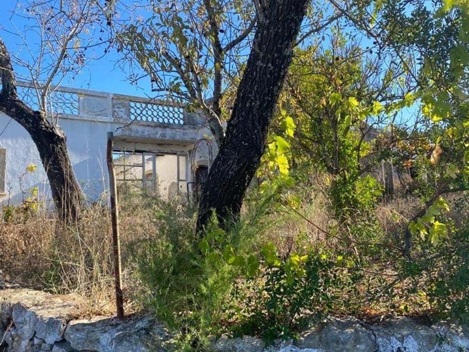 Helårsgrund i Sao Bras de Alportel, Faro - foto 3