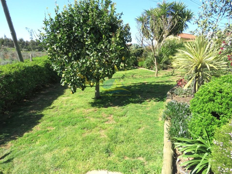Farm hus i Serta, Castelo Branco - foto 2