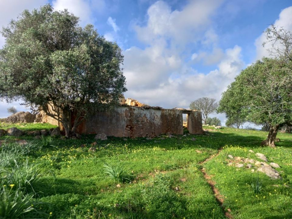 Farm i Barao de Sao Joao, Faro - foto 2