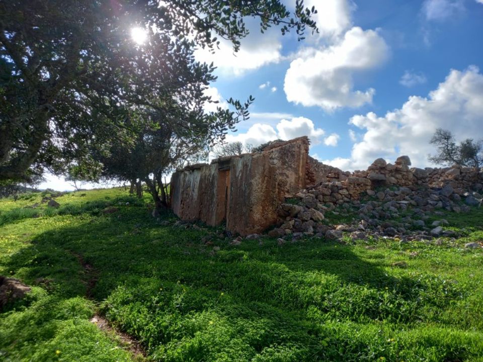 Farm i Barao de Sao Joao, Faro - foto 3