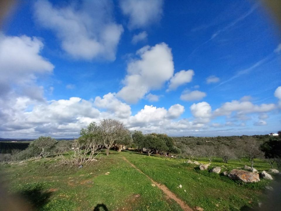 Farm i Barao de Sao Joao, Faro - foto 4