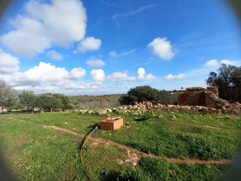 Farm i Barao de Sao Joao, Faro - foto 5