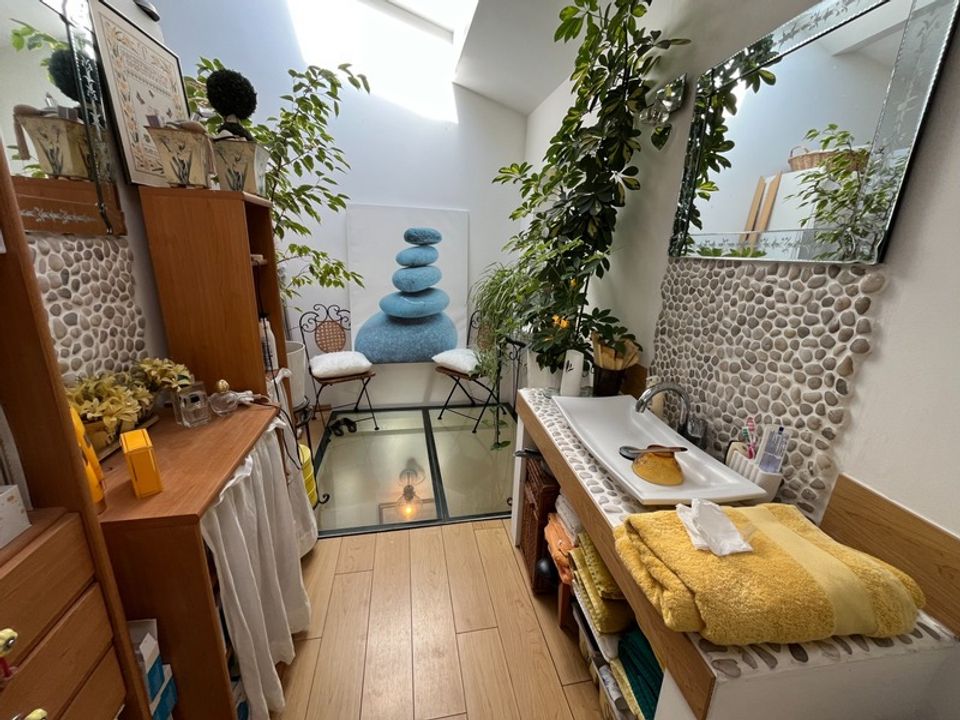 Duplex i Vandoeuvre-les-Nancy, Meurthe-et-Moselle - foto 2