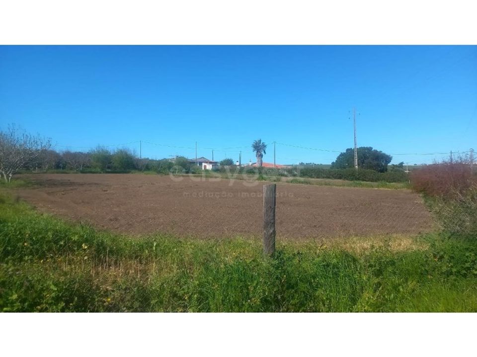 Farm hus i Beja, Beja - foto 3
