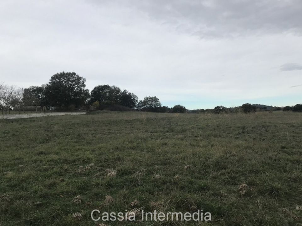 Helårsgrund i Nepi, Viterbo - foto 4