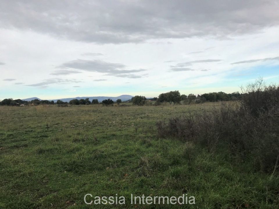 Helårsgrund i Nepi, Viterbo - foto 5