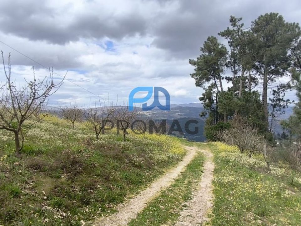 Helårsgrund i Resende, Viseu - foto 2