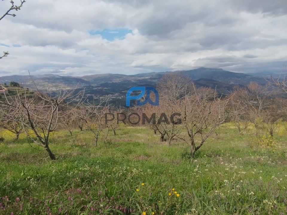 Helårsgrund i Resende, Viseu - foto 4