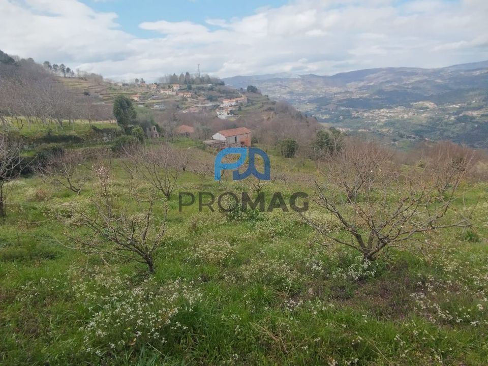 Helårsgrund i Resende, Viseu - foto 5