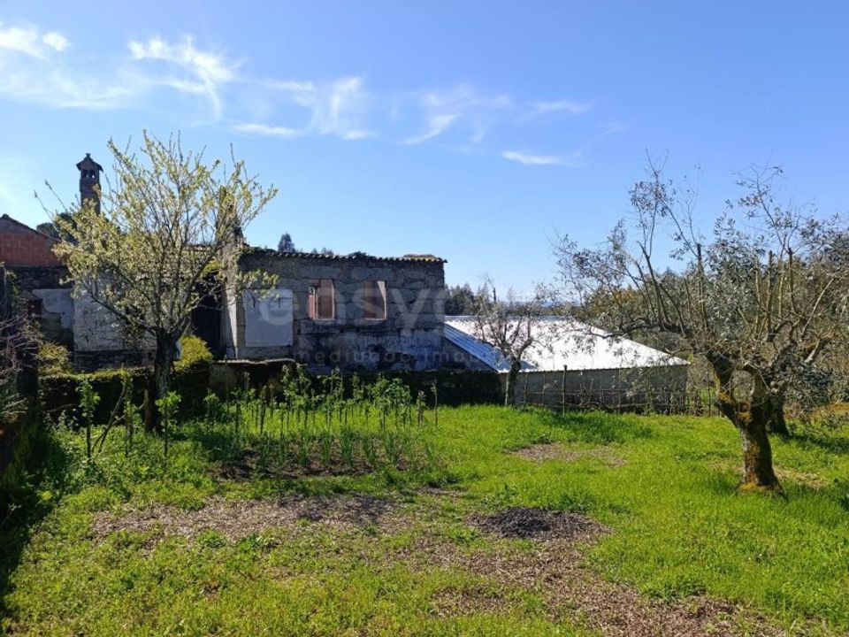 Villa i Tabua, Coimbra - foto 3