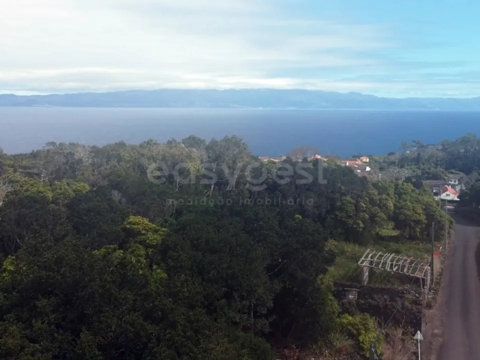 Villa i Ponta Delgada, Sao Miguel - foto 2