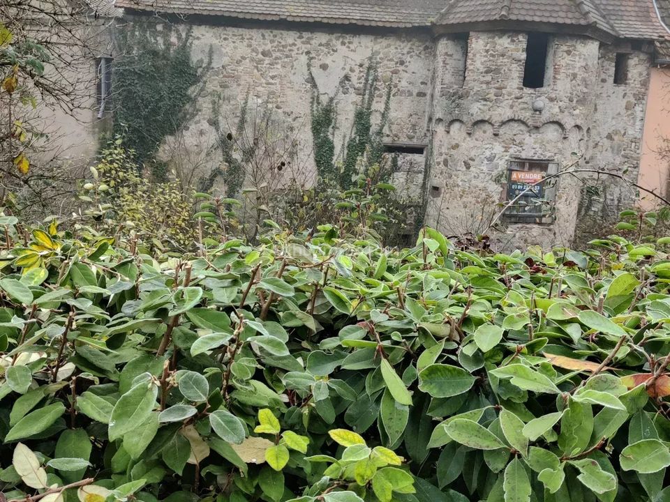 Lejlighed i Bergheim, Haut-Rhin - foto 5
