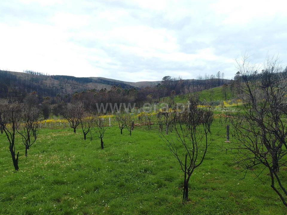 Landejendom i Covilha, Castelo Branco - foto 2