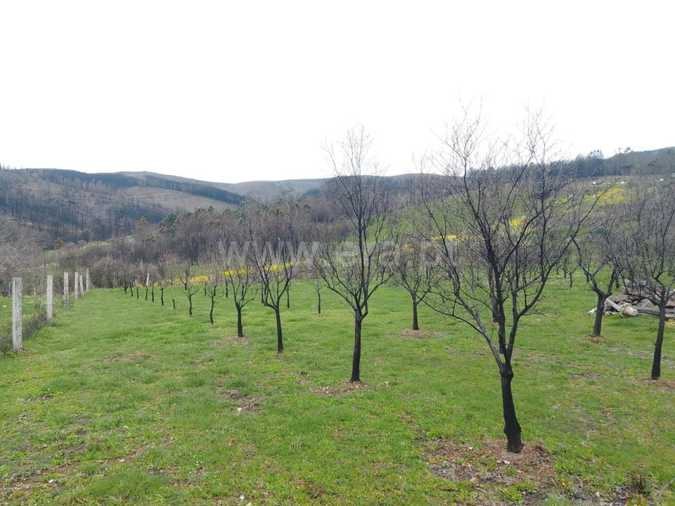 Landejendom i Covilha, Castelo Branco - foto 4