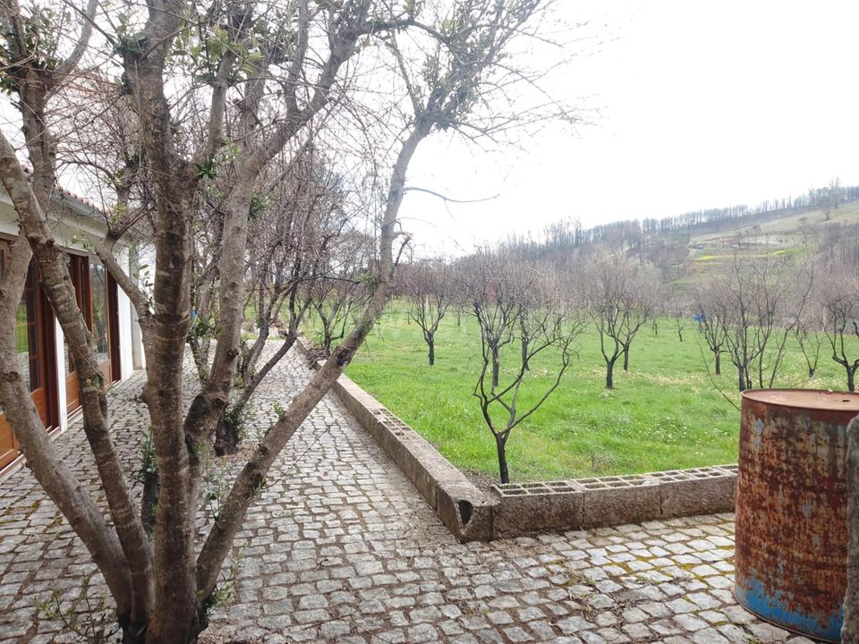 Landejendom i Covilha, Castelo Branco - foto 5