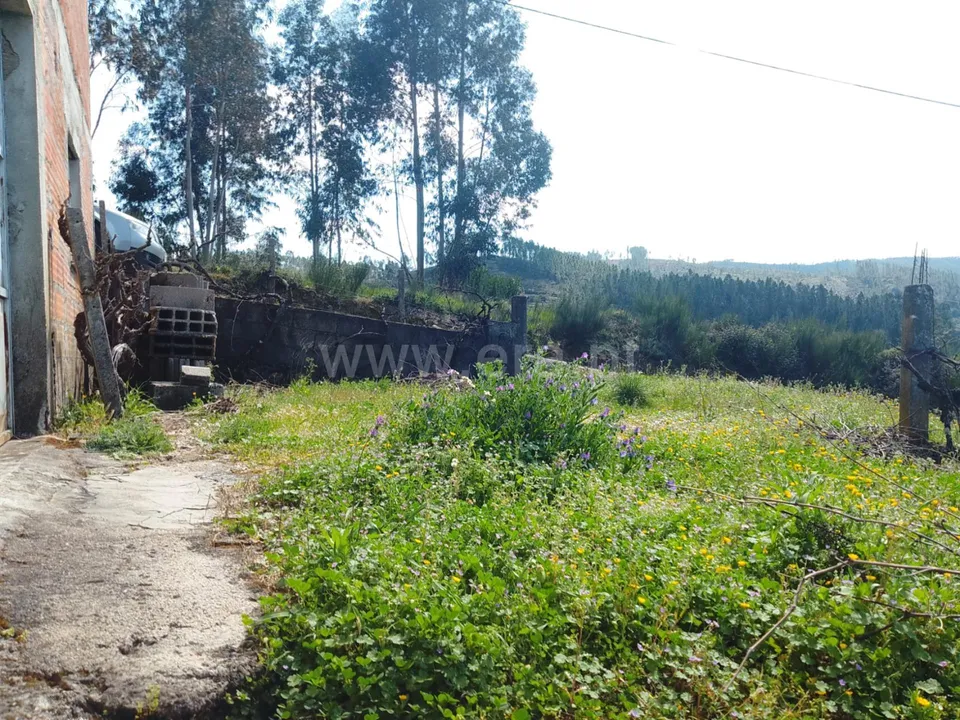 Farm i Fundao, Castelo Branco - foto 2