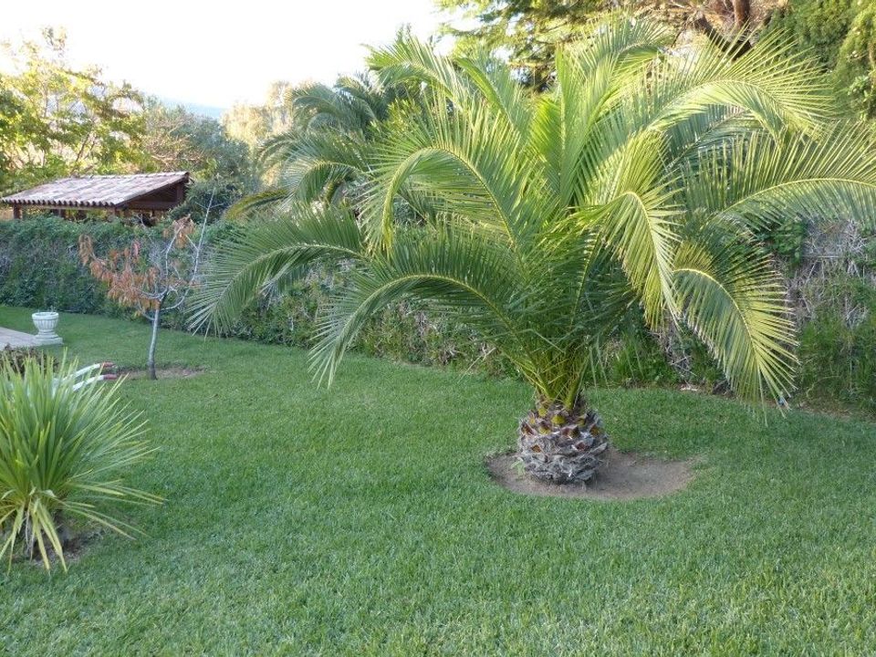 Villa i Calonge, Gerona - foto 5