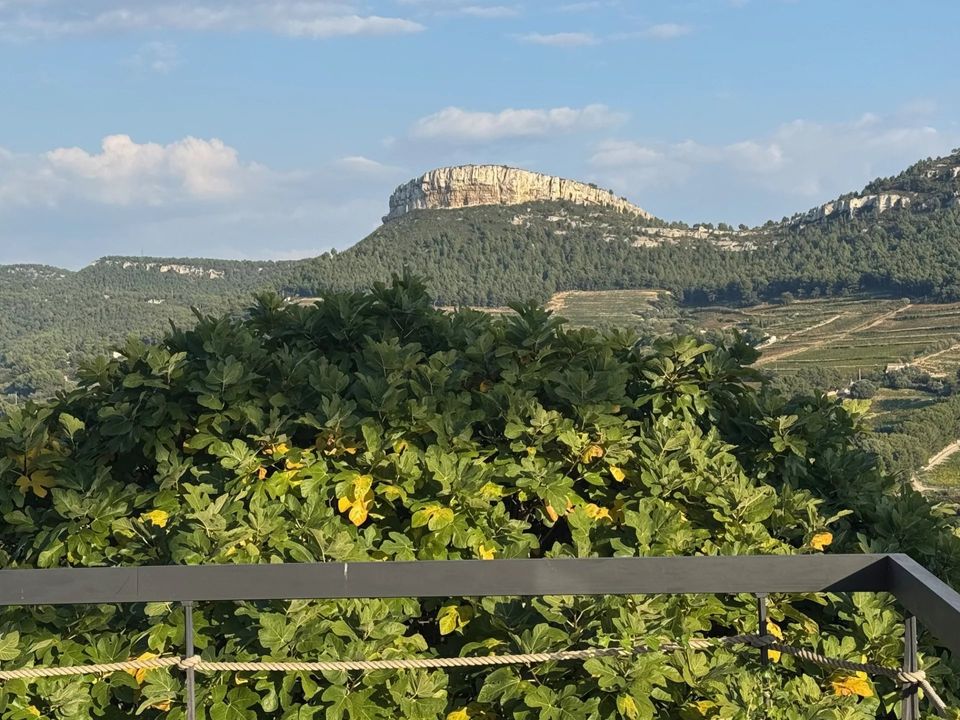 Villa i Cassis, Bouches-du-Rhone - foto 3