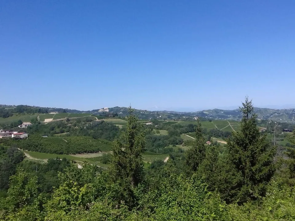 Landejendom i Cassinasco, Asti - foto 2