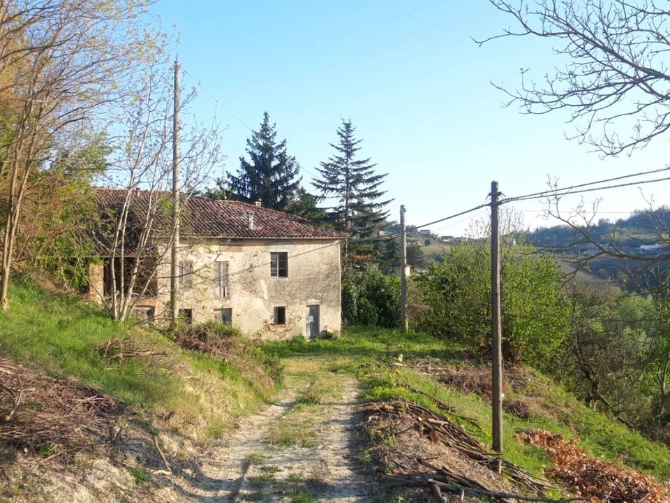 Landejendom i Cassinasco, Asti - foto 4