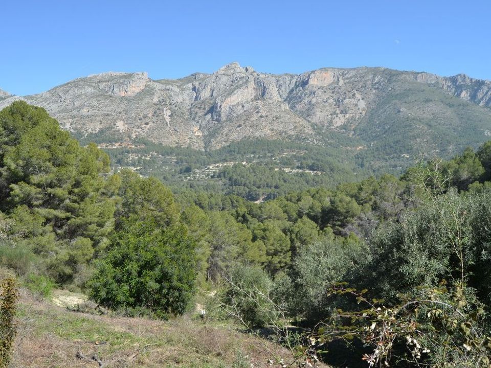 Terra a Benimantell, Alicante - foto 2