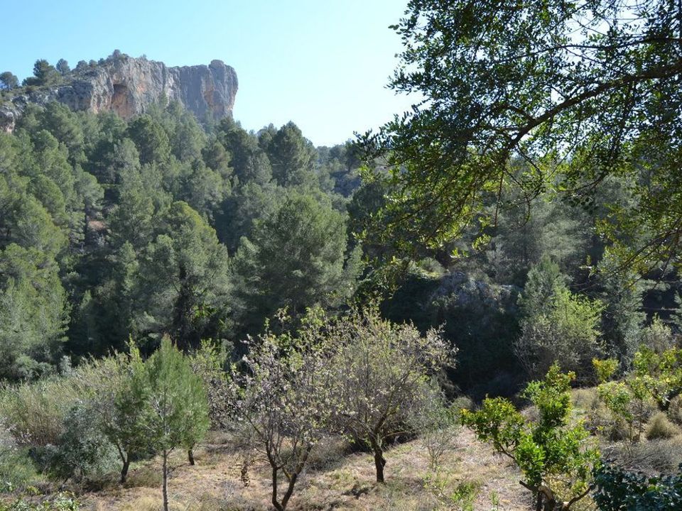 Terra a Benimantell, Alicante - foto 3