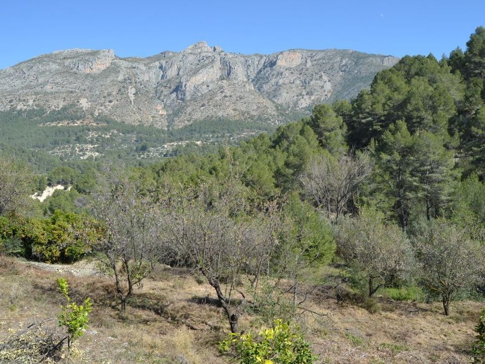 Terra a Benimantell, Alicante - foto 5