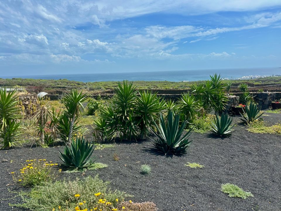 Landejendom i Arrieta, Lanzarote - foto 4