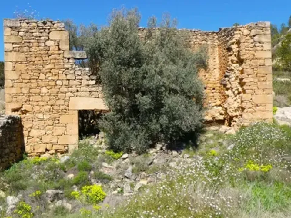 Finca en Caseres, Tarragona - foto 3