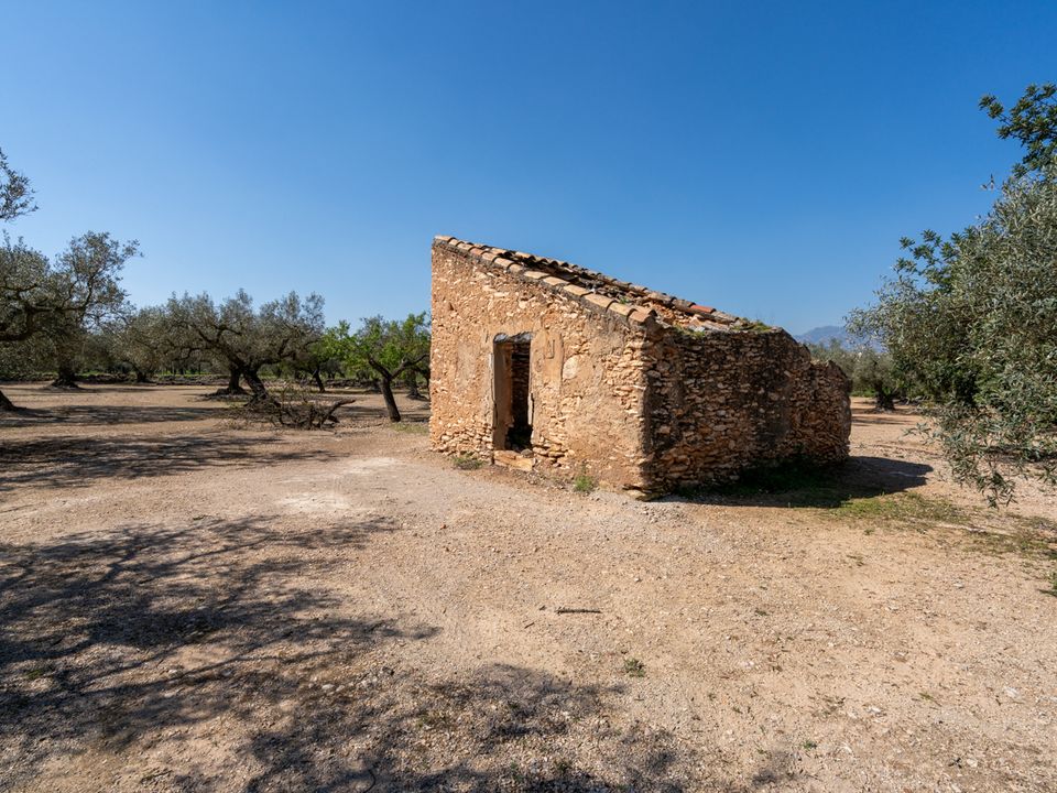 Finca a Roquetes, Tarragona - foto 3