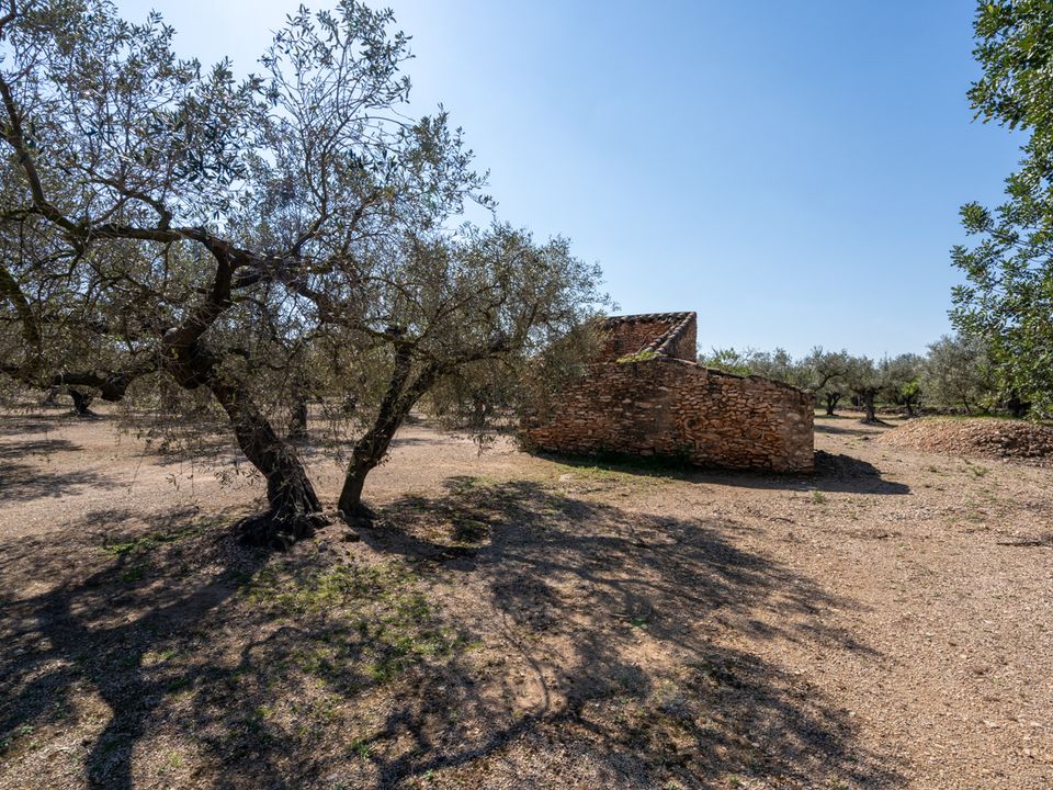 Finca a Roquetes, Tarragona - foto 5