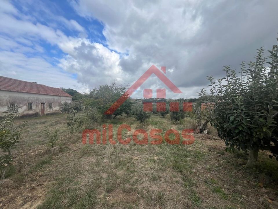 Farm i Carvalhal, Leiria - foto 2