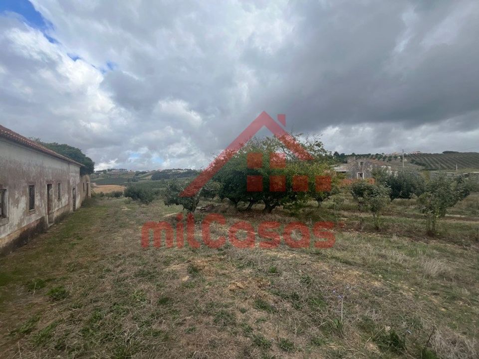 Farm i Carvalhal, Leiria - foto 5