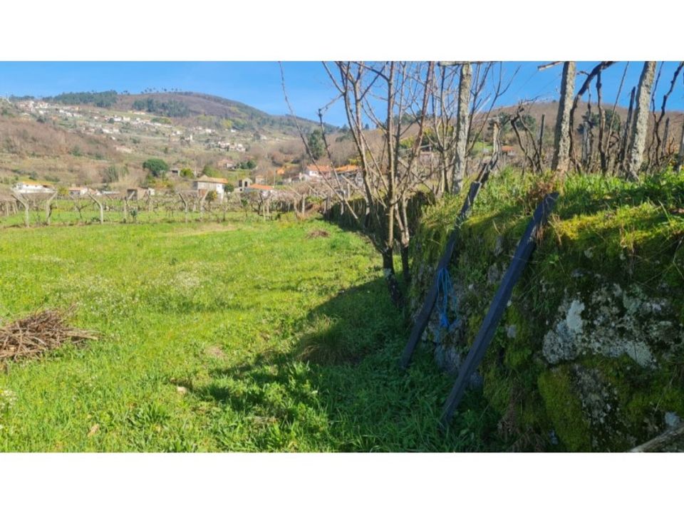Terra a Gestaco, Porto - foto 4