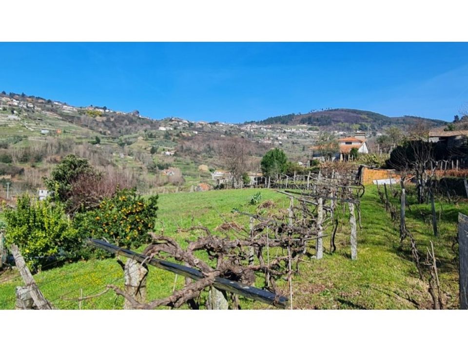 Terra a Gestaco, Porto - foto 5
