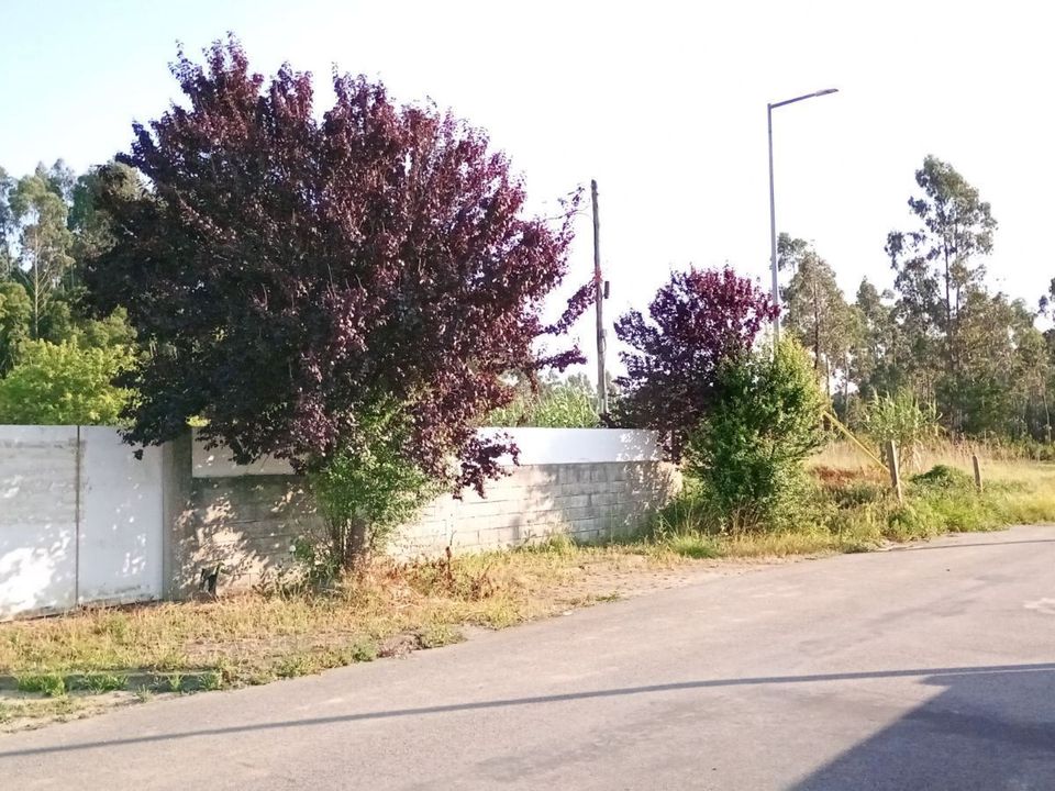 Helårsgrund i Ovar, Aveiro - foto 1