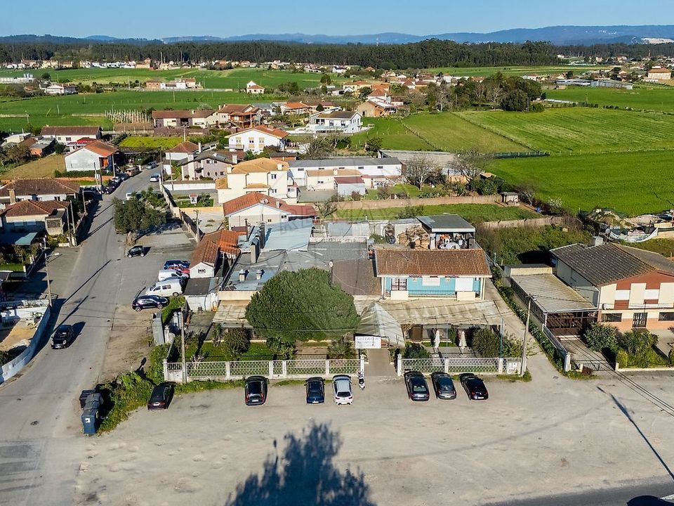 Erhvervsejendom i Estarreja, Aveiro - foto 1