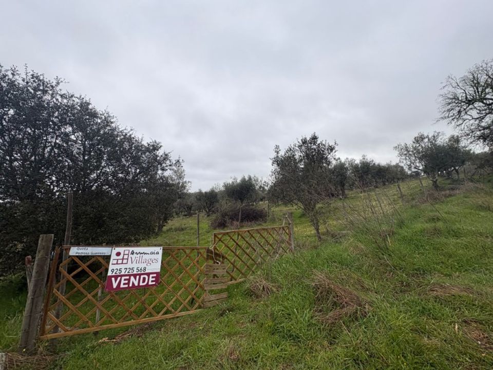 Helårsgrund i Barbacena e Vila Fernando, Portalegre - foto 1
