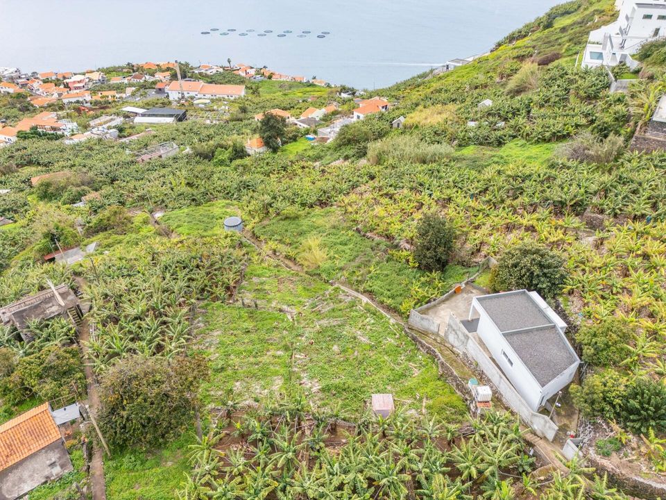 Helårsgrund i Calheta, Madeira - foto 3