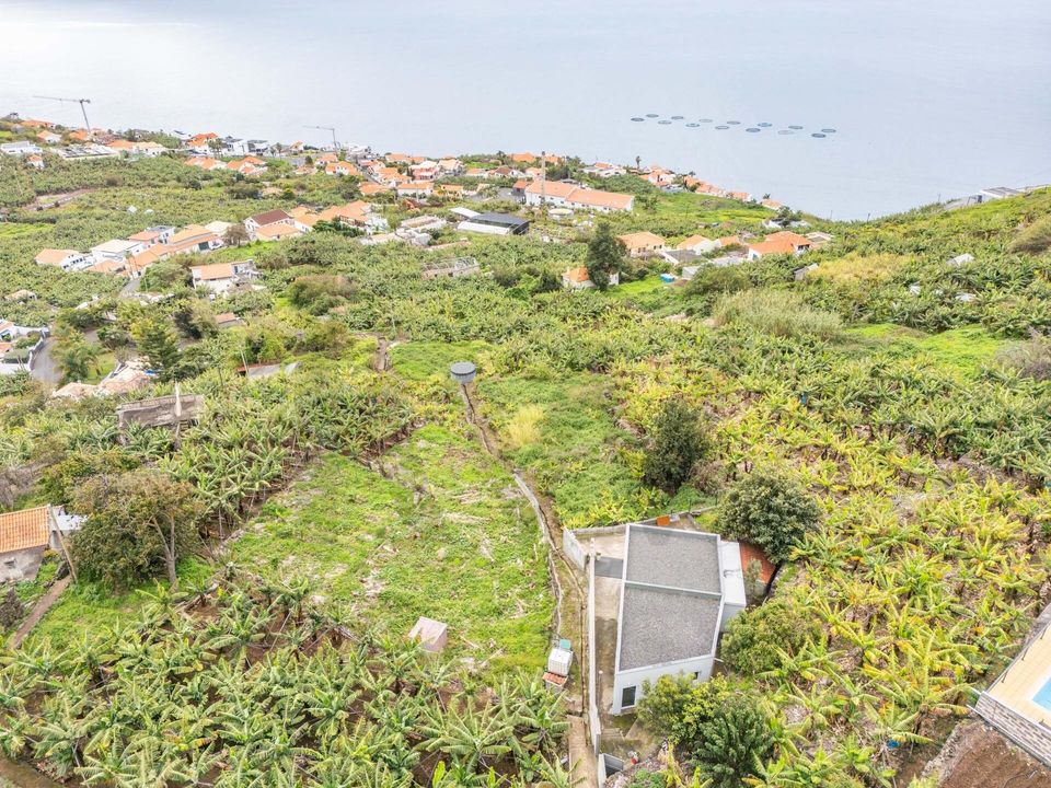 Helårsgrund i Calheta, Madeira - foto 5