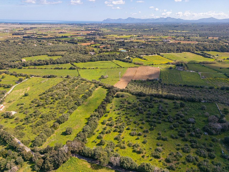 Terra a Muro, Mallorca - foto 2