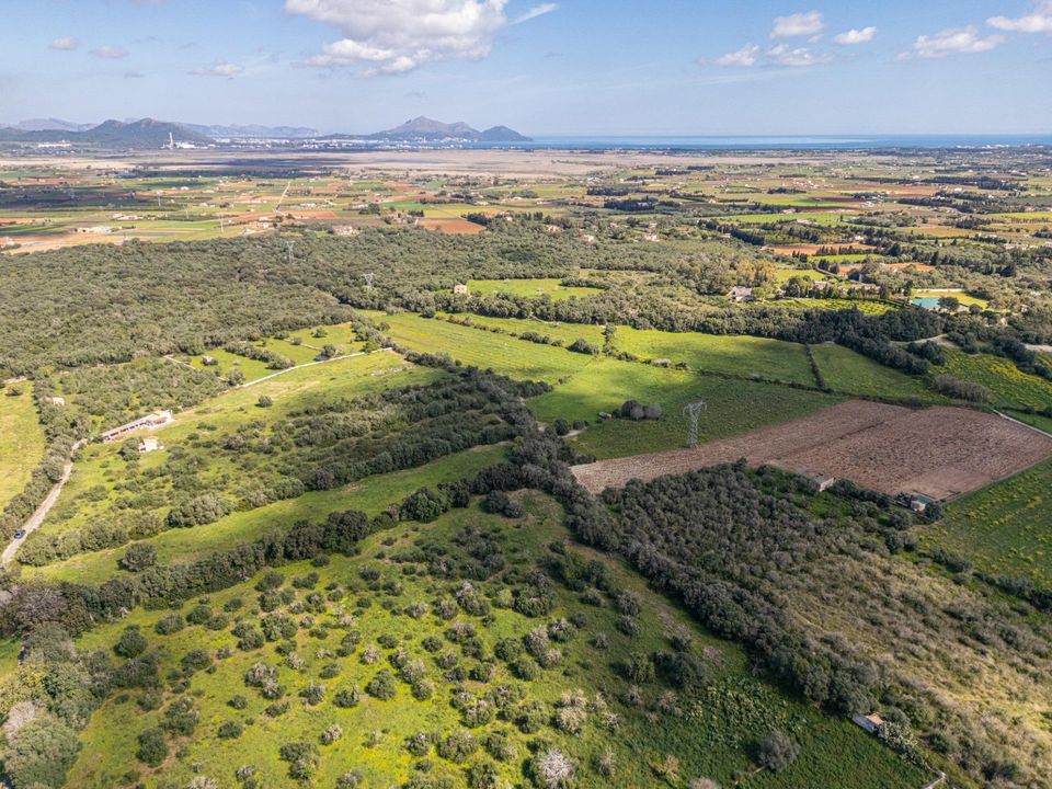 Terra a Muro, Mallorca - foto 3