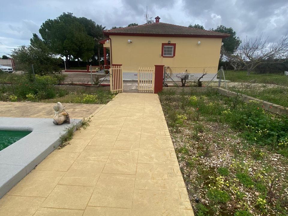 Farm hus i Els Poblets, Alicante - foto 5