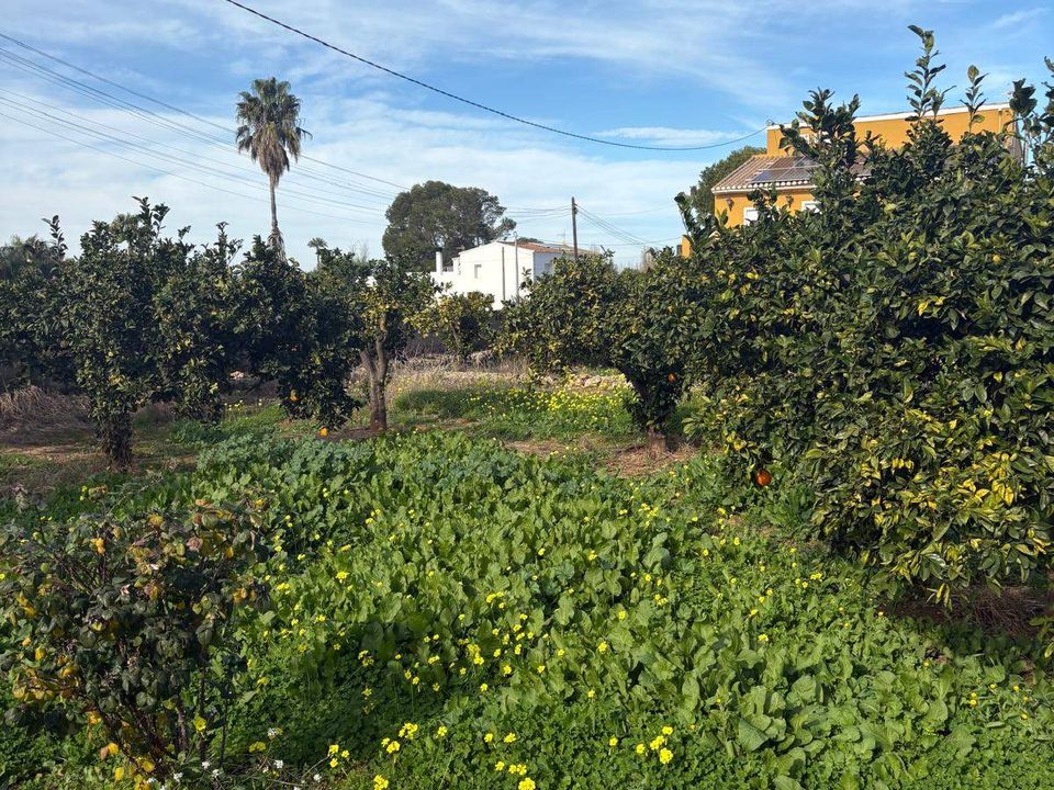 Tomt i Denia, Alicante - bilde 5