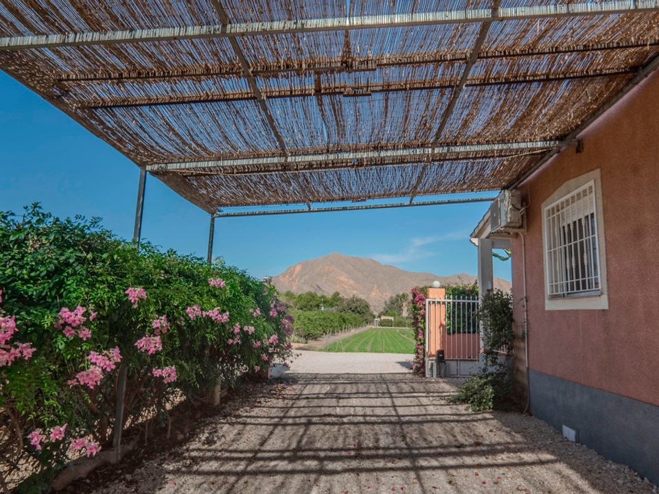 Villa i San Bartolome, Alicante - foto 4
