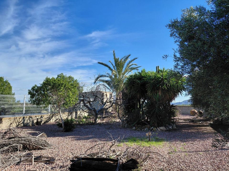 Landejendom i La Murada, Alicante - foto 5