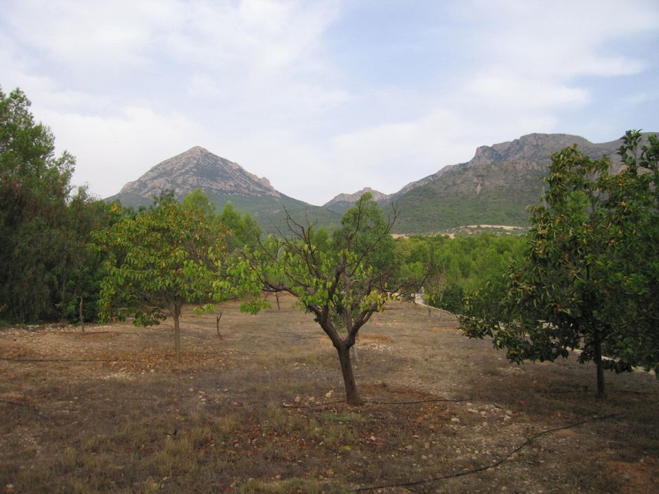 Masia a La Nucia, Alicante - foto 4
