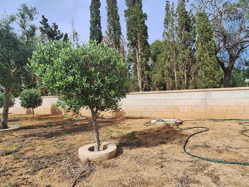 Villa i Elche, Alicante - foto 3
