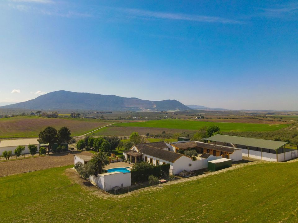 Cortijo i Moron De La Frontera, Sevilla - foto 1